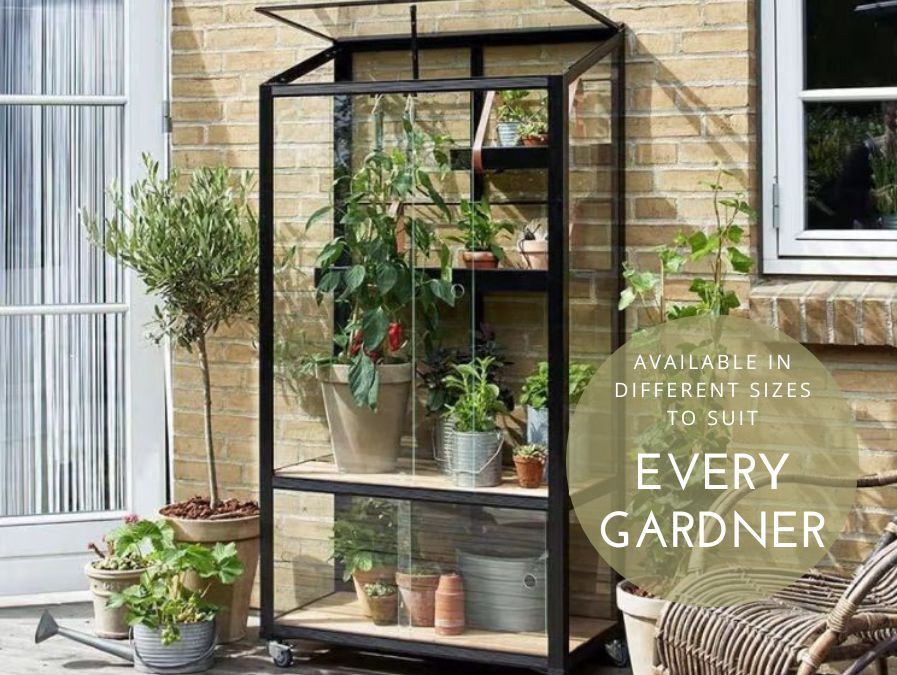 Greenhouse to suit any budget