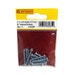 Centurion ZP Pan Head Self Tapping Screws - 1" X 6mm - Pack Of 12