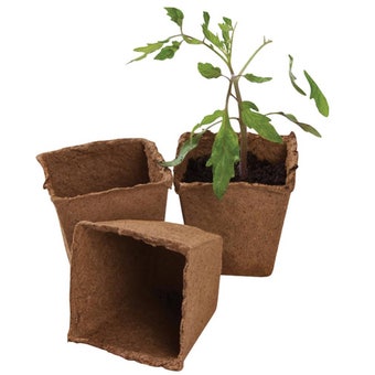 Garland 8cm Square Fibre Pots - Pack of 12 | Plantable Seed Pots for Seeds and Cuttings
