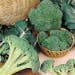 Suttons Seeds - Broccoli - Autumn Spear