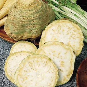 Suttons Seeds - Celeriac - Monarch