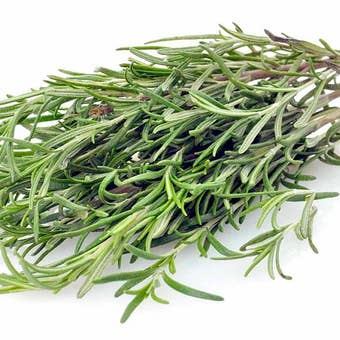 Suttons Seeds - Rosemary