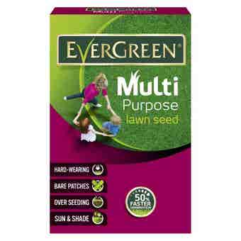 Evergreen Multi Purpose Lawn Seed - 420g