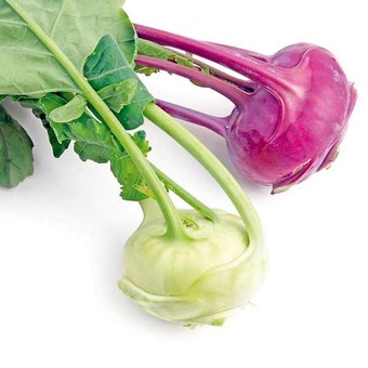 Suttons Seeds - Kohl Rabi - Purple & White Vienna Mix