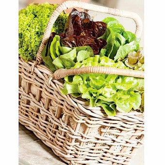 Suttons Seeds - Lettuce - Mix