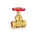 Valogin 3/4" Gate Valve