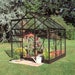Popular Greenhouse Horticultural Glass Black 6' x 6'