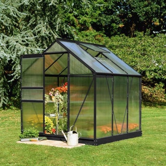 Popular Greenhouse Polycarbonate Black 6' x 6'