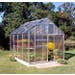 Popular Greenhouse Polycarbonate Silver 6' x 8'