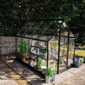 The Halls ICON Range of 6ft Freestanding Greenhouses-Black-6' x 8'-Standard Horticultural Glass - Comes with Base