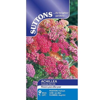 Achillea Seeds - Summer Berries