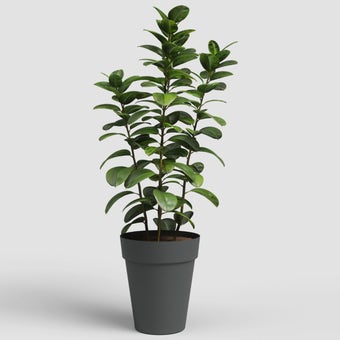 Artevasi Capri High Round Pot 56cm - Anthracite