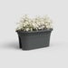 Artevasi Venezia Balcony Trough 60cm - Anthracite