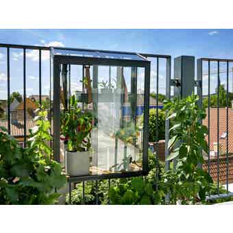 Juliana Balcony Greenhouse