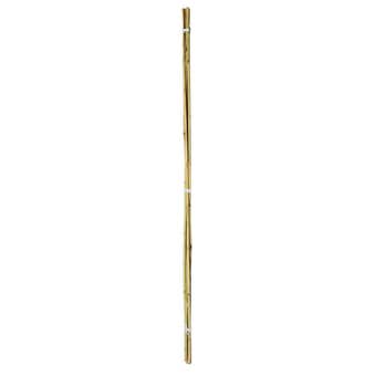 Ambassador 2ft Bamboo Canes - Pack Of 20
