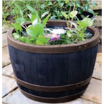 Blenheim Copper - 61cm