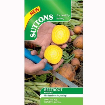 Beetroot Seeds - F1 Bolder