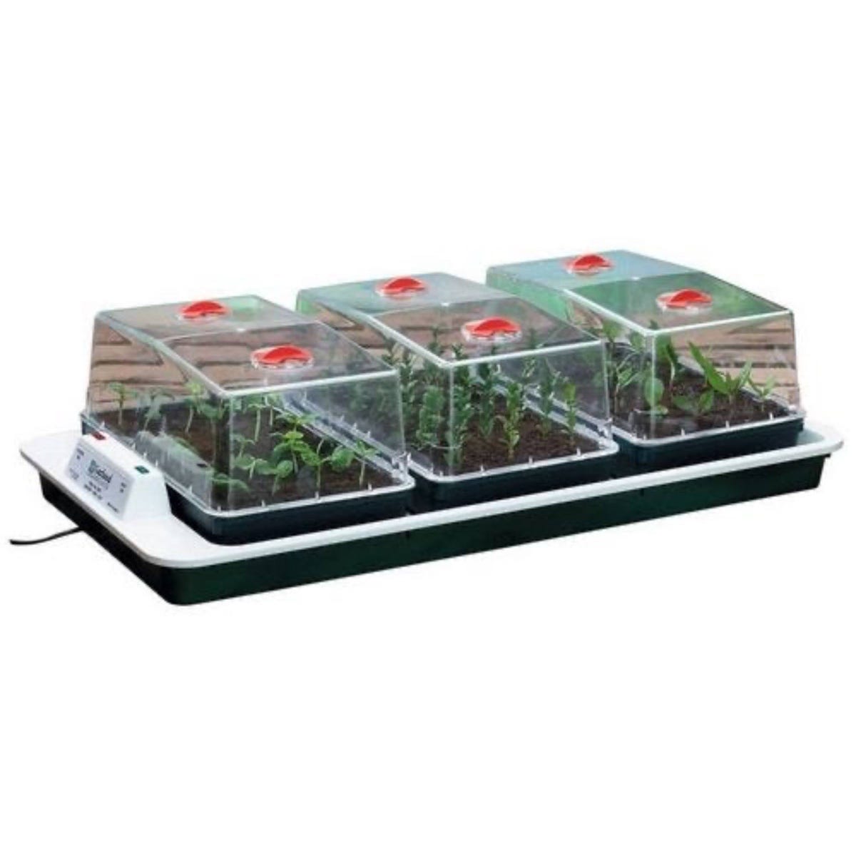 Garland Trio Electric Propagator Big 3 80.5 x 41 x 20.5cm | Heated Seed Propagator with 3 High Domes