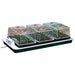Garland Trio Electric Propagator Big 3 80.5 x 41 x 20.5cm | Heated Seed Propagator with 3 High Domes