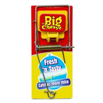 Big Cheese Fresh Baited Mouse Trap