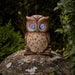 Blinkin’ Owl | Solar Powered Blinking Garden Ornament Light