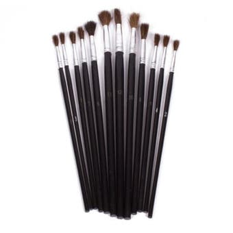 12 Piece Artists Paint Brush