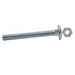 Carriage Bolt & Nut - M8 x 100mm