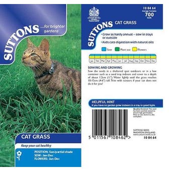 Cats Grass