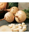 Turnip Seeds - Golden Ball
