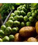 Suttons Seeds - Brussels Sprouts - Bedford-Fillbasket