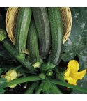 Suttons Seeds - Courgette (Marrow) - F1 Green Bush