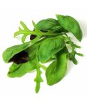 Suttons Seeds - Leaf Salad - Italian Mix