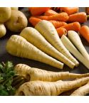Suttons Seeds - Parsnip - Tender And True