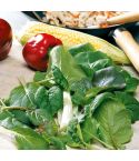 Suttons Seeds - Leaf Salad - Stir Fry Mix