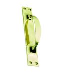 Polished Brass Cranked Pull Handle On Back Plate