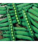Suttons Seeds - Pea - Hurst Greenshaft