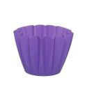 Flora-Blum Adonis Flower Pot - Purple 11cm