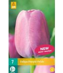 Tulips Purple Pride Flower Bulb - Pack of 7