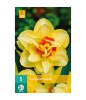 Daffodil (Narcissus Tahiti) Flower Bulbs - Pack Of 5