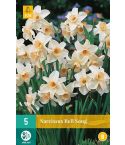 Daffodil (Narcissus Bell Song) Bulbs - Pack Of 5