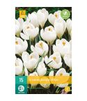Crocus Jeanne D'Arc Flower Bulbs - Pack Of 15