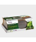 Unheated Propagator - 38CM
