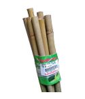 SupaGarden Bamboo Canes Pack Of 10 - 5 Ft