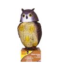 Big Cheese Wind-Action Owl