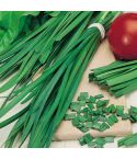 Suttons Herb Garlic Chives Seeds - Pack Of 80