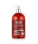 Astonish Cranberry & Cinnamon Handwash - 500ml