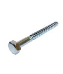 Stainless Steel Coach Screw - M10 x 100mm
