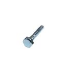 Stainless Steel Coach Screw - M10 x 60mm