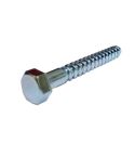 Stainless Steel Coach Screw - M12 x 100