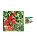 Tomato Seeds - F1 Tumbler (7 Seeds)